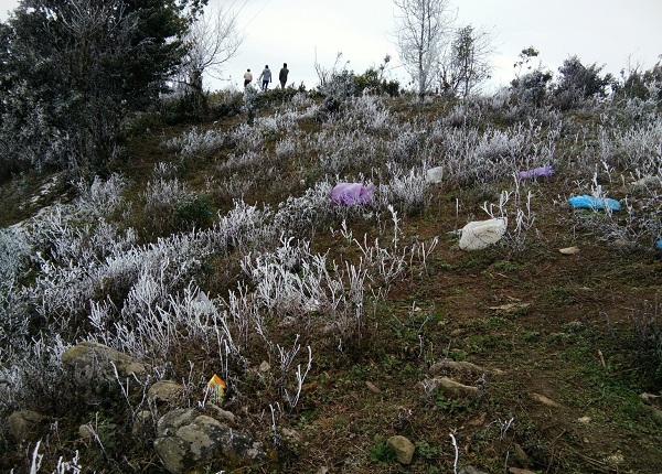 Thiếu nữ huyền ảo trong băng tuyết đỉnh Tà Xùa